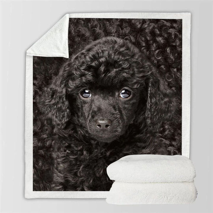 Coperta in flanella 3D double face Coperta Siesta Coperta per aria condizionata - Gufetto Brand 