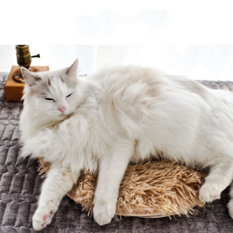 Coperta elettrica impermeabile termostatica per animali domestici - Gufetto Brand 