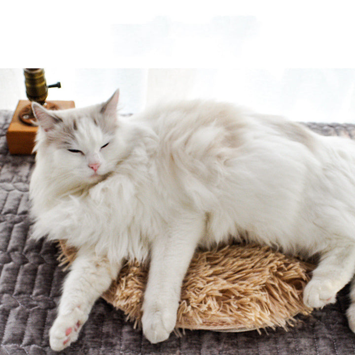 Coperta elettrica impermeabile termostatica per animali domestici - Gufetto Brand 