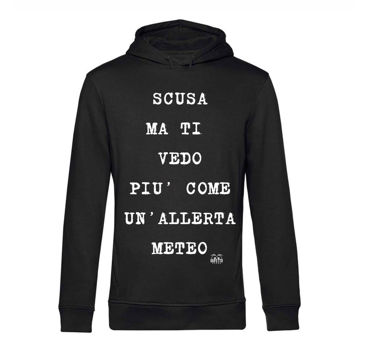 Felpa donna ALLERTA METEO ( AL50985647 ) - Gufetto Brand 