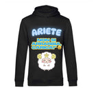 Felpa Uomo ARIETE ( AR65709876 ) - Gufetto Brand 