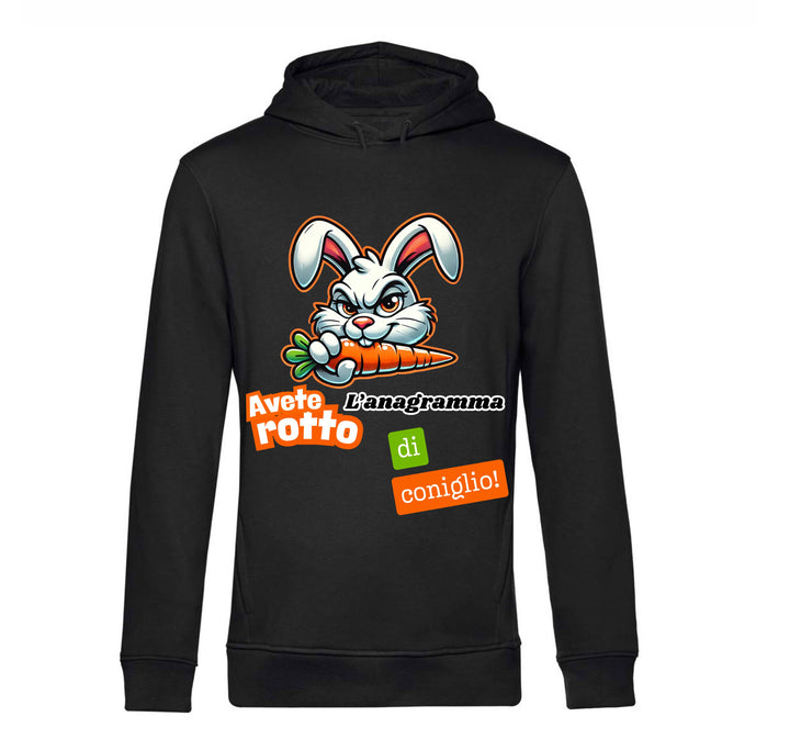 Felpa donna ANAGRAMMA ( AN0945234 ) - Gufetto Brand 