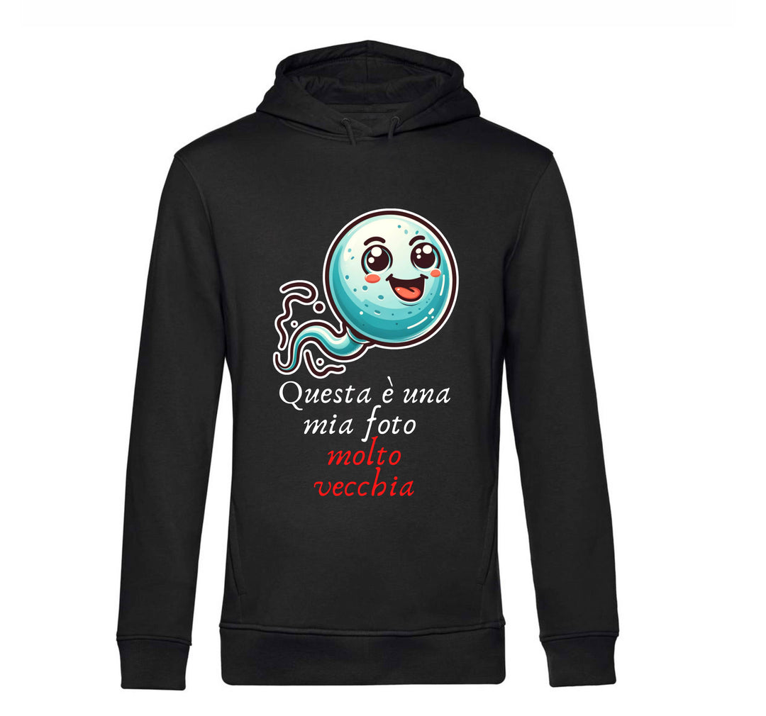 Felpa donna VECCHIA FOTO ( VF87645234 ) - Gufetto Brand 