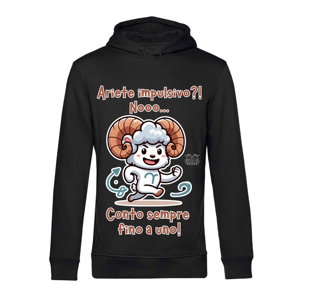 Felpa Uomo ARIETE ( AR04675892 ) - Gufetto Brand 