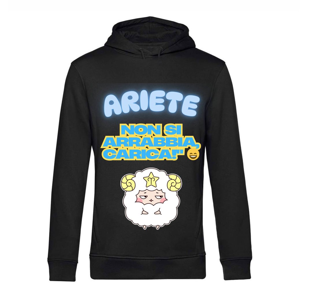 Felpa donna ARIETE ( AR65709876 ) - Gufetto Brand 