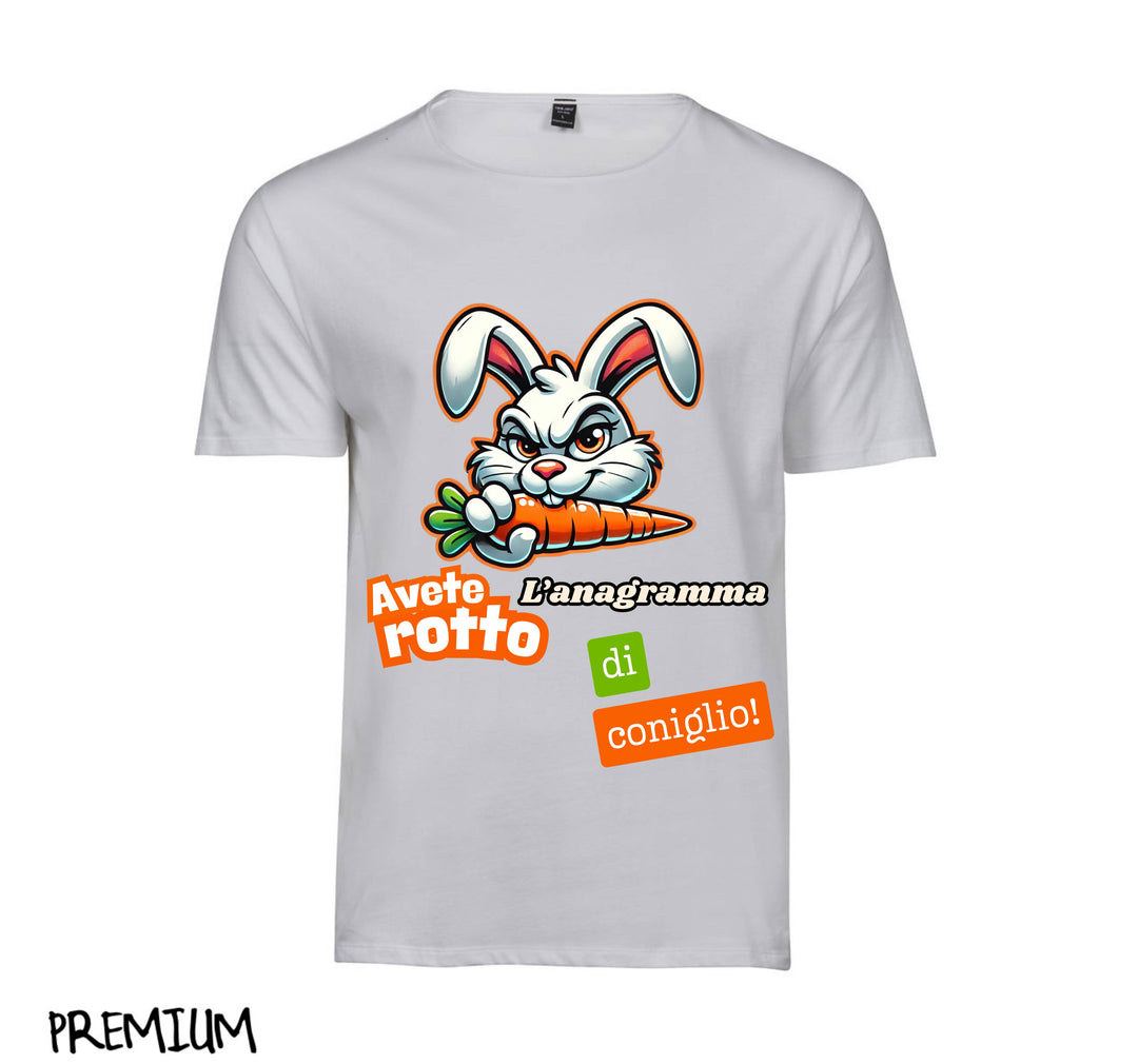 T-shirt Uomo ANAGRAMMA ( AN0945234 ) - Gufetto Brand 