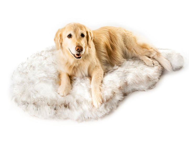 Coperta per animali da compagnia pad caldo - Gufetto Brand 