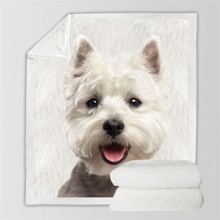 Coperta in flanella 3D double face Coperta Siesta Coperta per aria condizionata - Gufetto Brand 