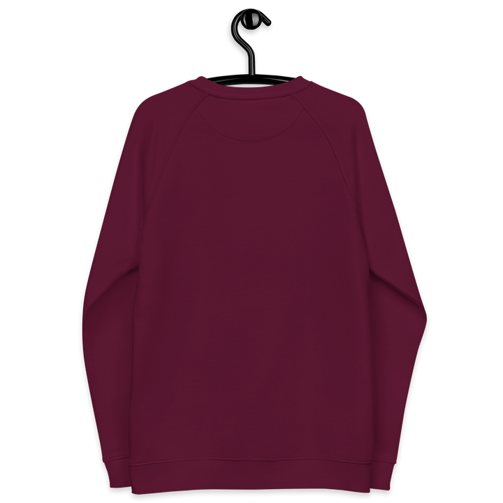 Felpa raglan in tessuto organico unisex GUFETTO OCCHI BIANCHI - Gufetto Brand 