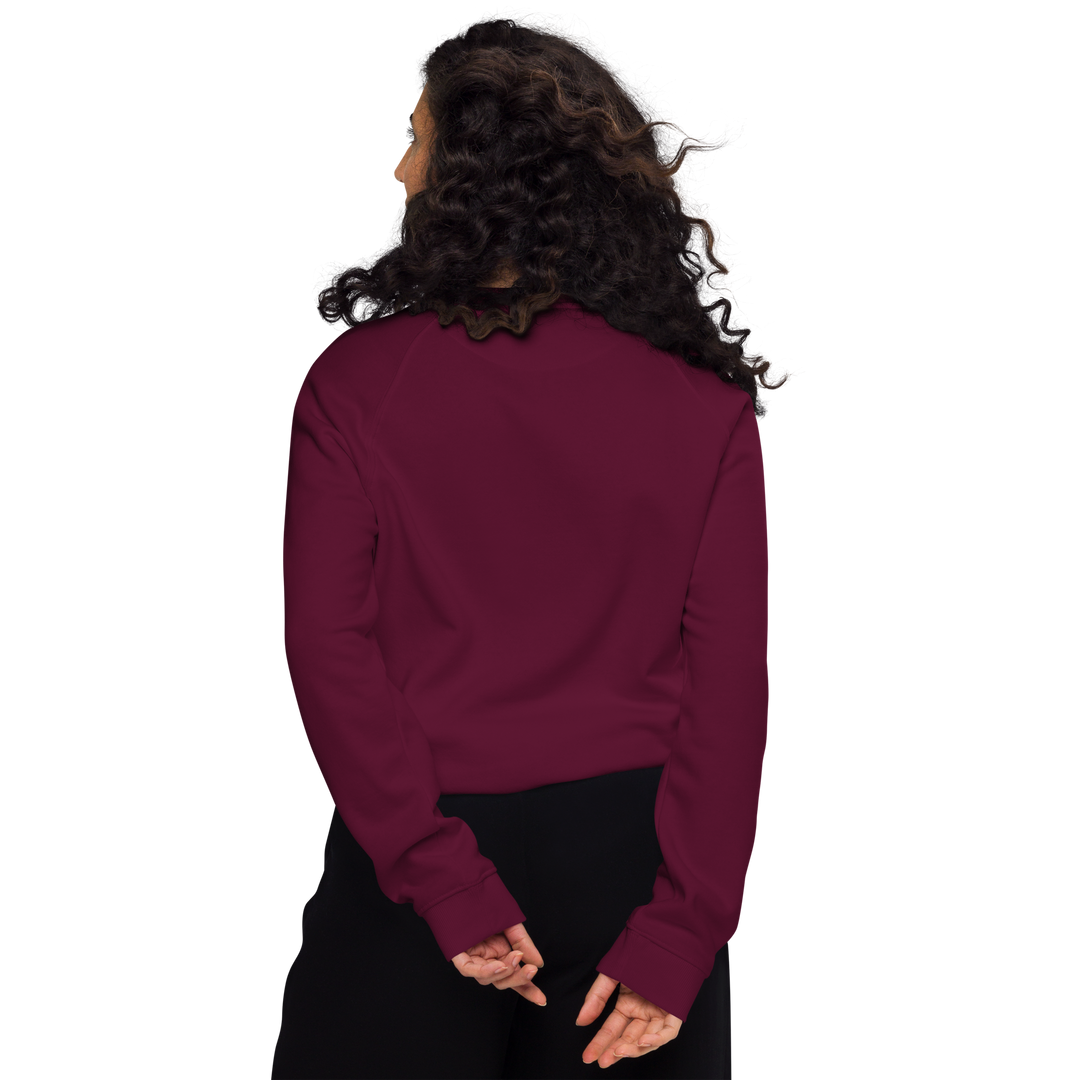 Felpa raglan in tessuto organico unisex GUFETTO OCCHI BIANCHI - Gufetto Brand 