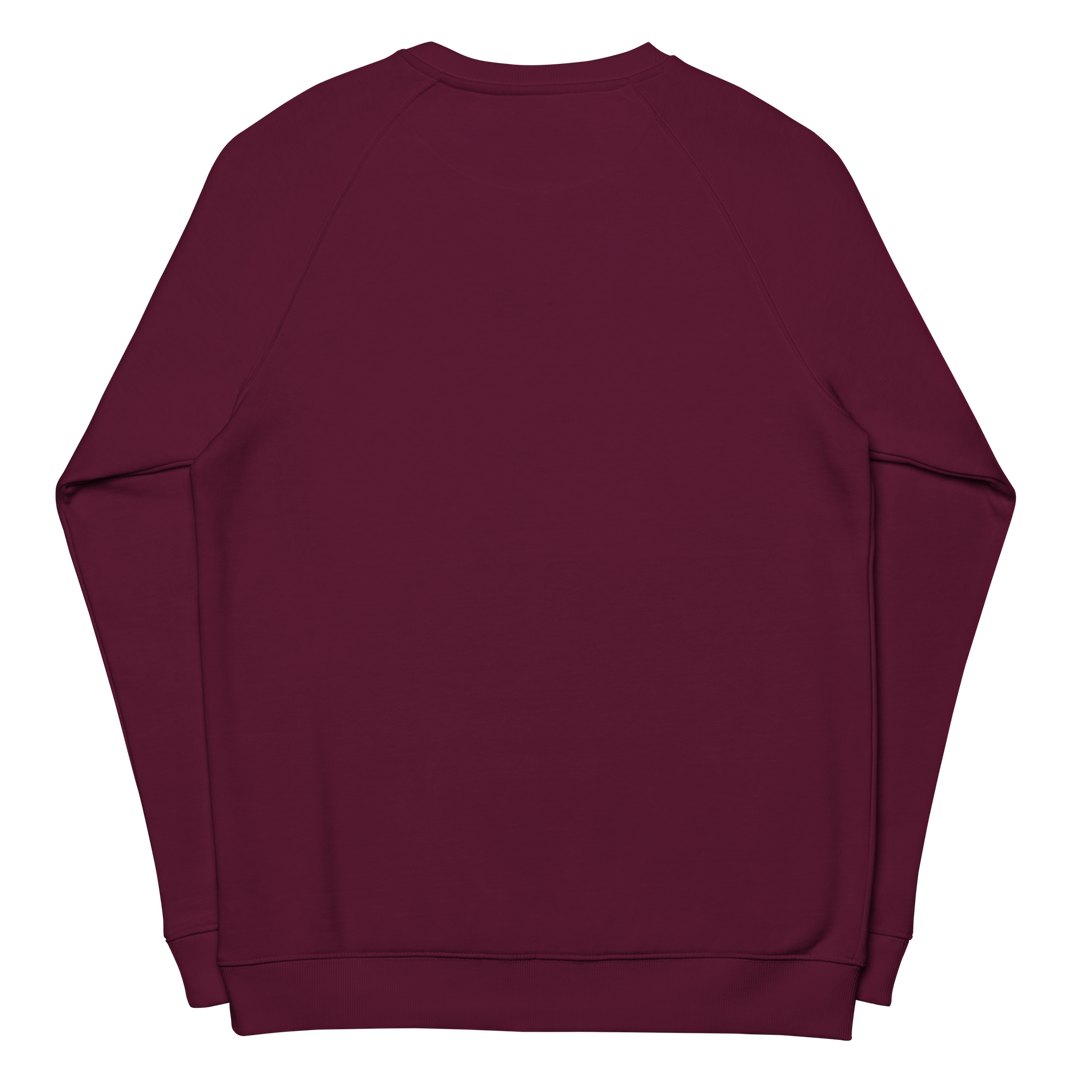 Felpa raglan in tessuto organico unisex GUFETTO OCCHI BIANCHI - Gufetto Brand 