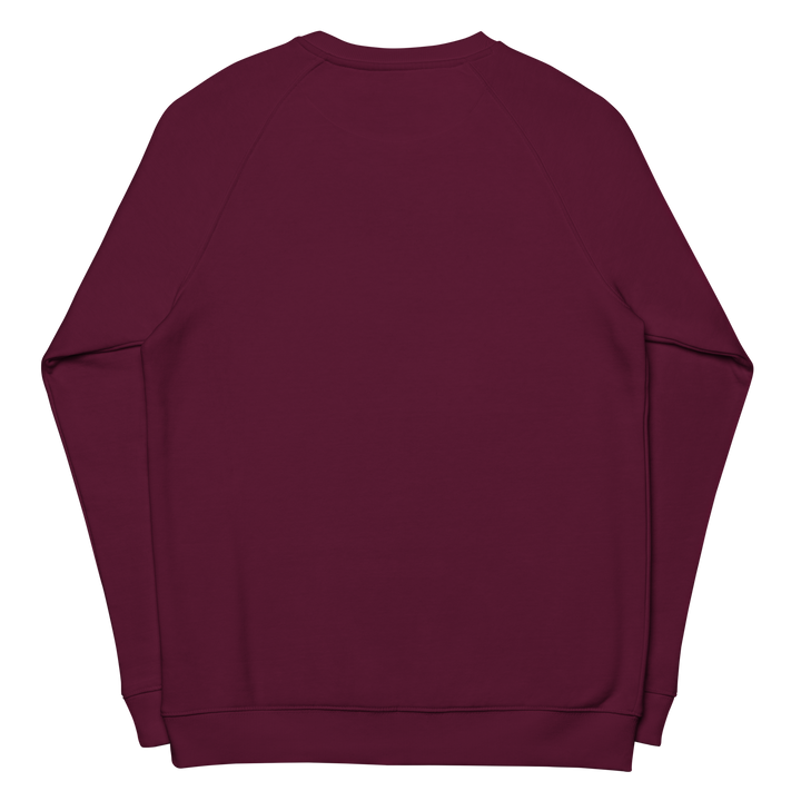 Felpa raglan in tessuto organico unisex GUFETTO OCCHI BIANCHI - Gufetto Brand 