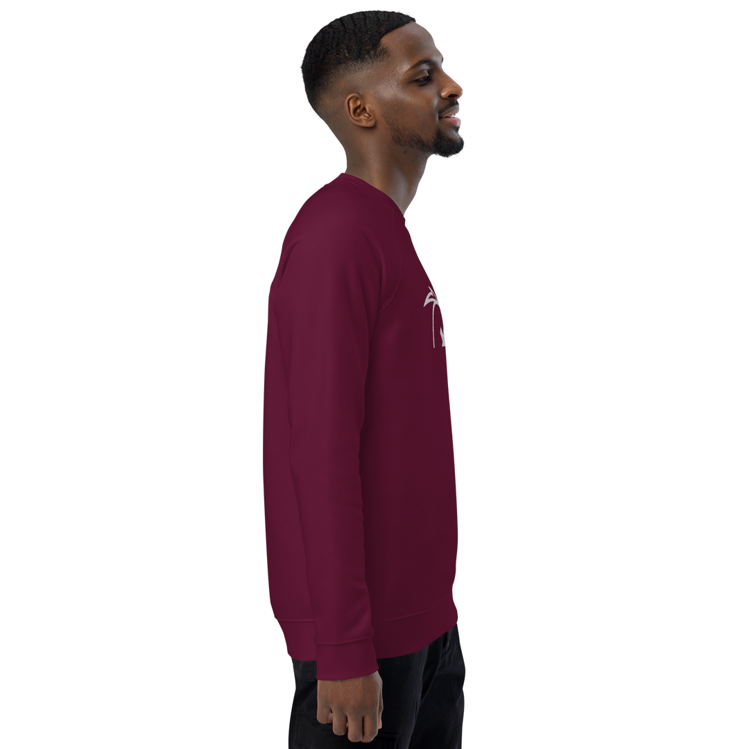 Felpa raglan in tessuto organico unisex GUFETTO OCCHI BIANCHI - Gufetto Brand 