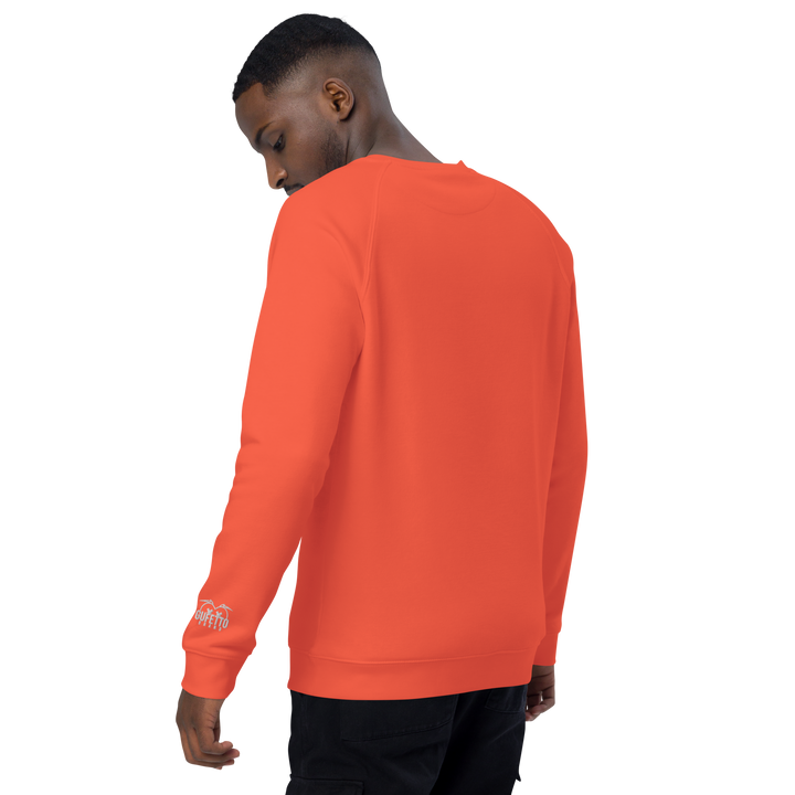 Felpa raglan in tessuto organico unisex GUFETTO OCCHI BIANCHI - Gufetto Brand 