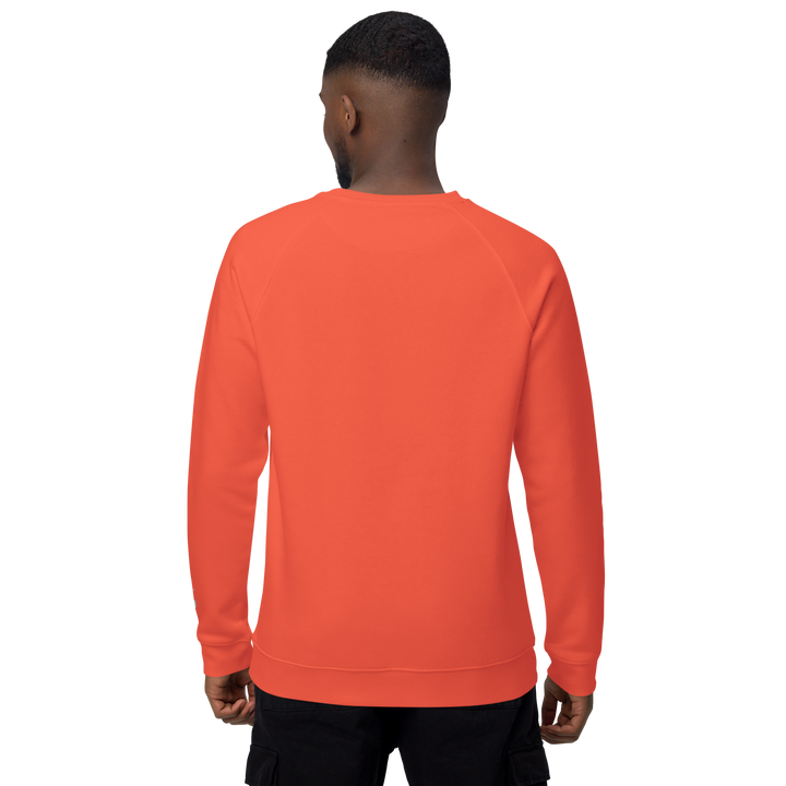 Felpa raglan in tessuto organico unisex GUFETTO OCCHI BIANCHI - Gufetto Brand 