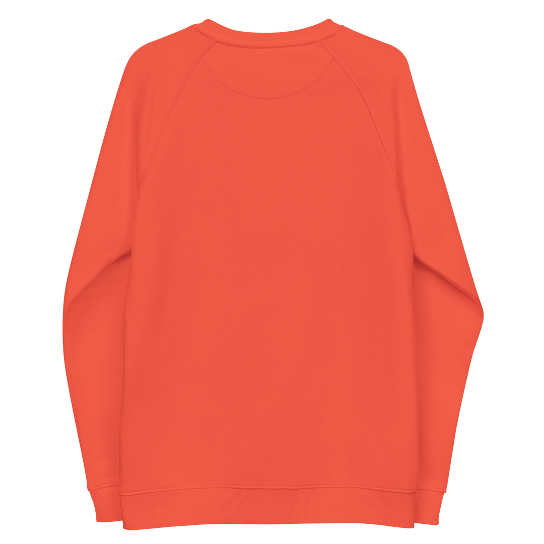 Felpa raglan in tessuto organico unisex GUFETTO OCCHI BIANCHI - Gufetto Brand 