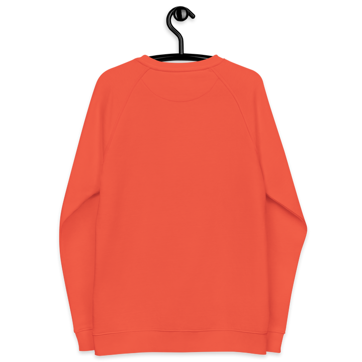 Felpa raglan in tessuto organico unisex GUFETTO OCCHI BIANCHI - Gufetto Brand 