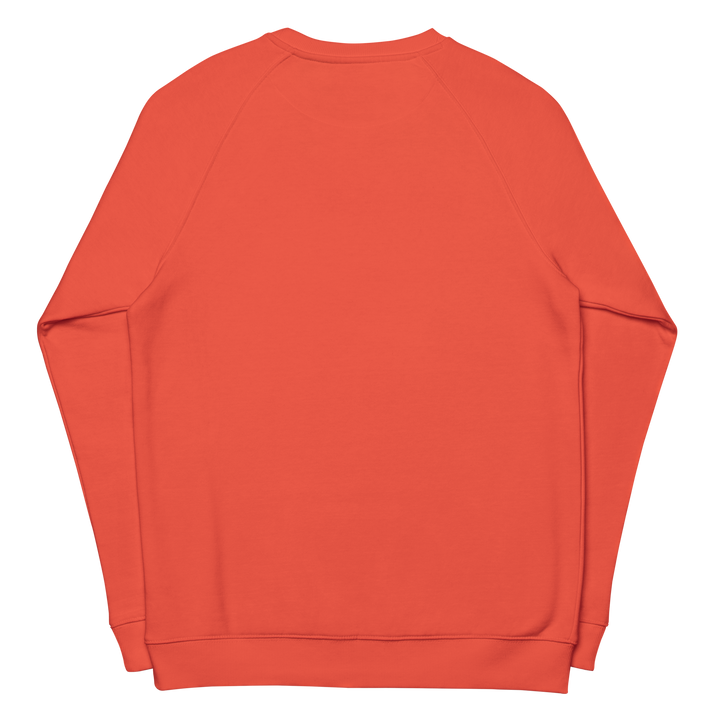 Felpa raglan in tessuto organico unisex GUFETTO OCCHI BIANCHI - Gufetto Brand 